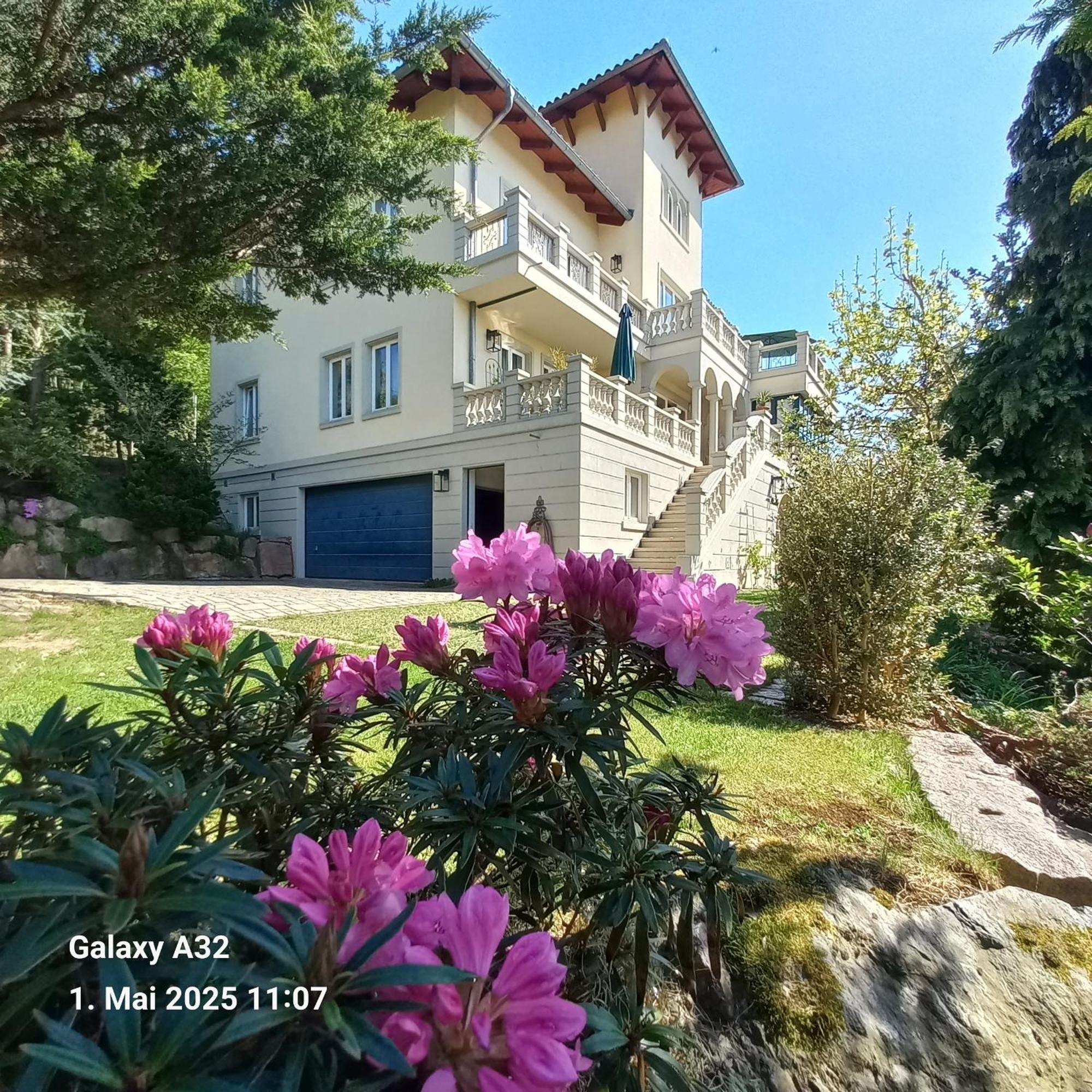 Ferienwohnung Dennstedt Wilkau-Hasslau ภายนอก รูปภาพ